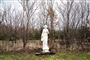 Statue i have