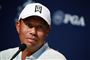 billede af tiger woods