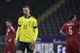 fodboldspilleren zlatan ibrahimovic i gul landsholdstrøje