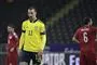 fodboldspilleren zlatan ibrahimovic i gul landsholdstrøje