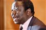 Oppositionsleder i Zimbabwe arresteret