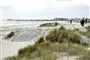 et klitområde på Skagen