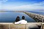 Turisterne dropper Danmark