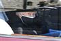 Dronning