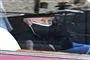 Dronning