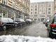 snevejr