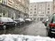 snevejr