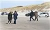 folk går tur på strand i nordjylland