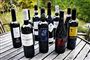 Du bliver alkoholiker af øl - men måske ikke af vin