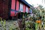 Gamle huse kan have sin charme - især hvad prisen angår. Man skal nemlig holde ved sin bolig for at få gavn af prisudsvingene, men dyrere bliver boligen helt sikkert. Nyhedsavisen/Poul Madsen 