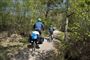 billede af to personer på cykel i naturen
