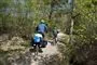 billede af to personer på cykel i naturen
