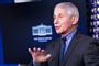 Anthony Fauci taler og gestikulerer 