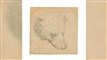 Tegning af Leonardo da Vinci
