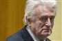 Radovan Karadzic i retten