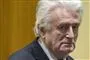 Radovan Karadzic i retten