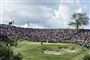 En golfbane i sol