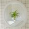 En smuk mosaikvæg med en grøn plante ved