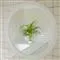 En smuk mosaikvæg med en grøn plante ved