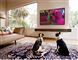 Dogtv