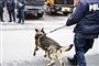 Sporhunde jager voldtægtsmand