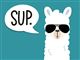 Sjov alpacaplakat