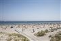 Masser af mennesker på stranden