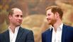 william og harry ses sammen