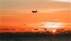 fly i luften over havet i solnedgang