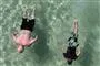 personer som snorkler