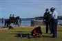 politi på en strand