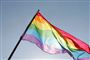 Homoseksualitet kostede kørekortet