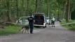 politiet leder med hunde i skoven