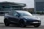 En grå Tesla ved en havnefront