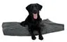 Labrador hundemadras