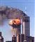 terror