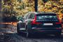 En mørkeblå Volvo V60 set bagfra i en skov med efterårsfarver.