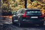 En mørkeblå Volvo V60 set bagfra i en skov med efterårsfarver.