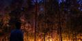 Foto: Scanpix/AFP/Andrey Smirnov