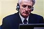 Karadzic: USA bad mig forsvinde
