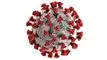 billede af coronavirus 