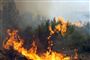 Storbrand 10 kilometer fra danske turister