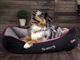 Canem hundeseng