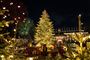 Et juletræ i Tivoli
