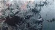 frost på vindue