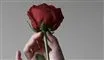 hånd med rose 