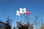 Flag med Novo Nordisks logo