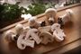 Champignons på et skærebræt 