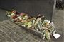 blomster ligger ved husmur
