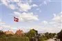 En villavej med et hejst flag.